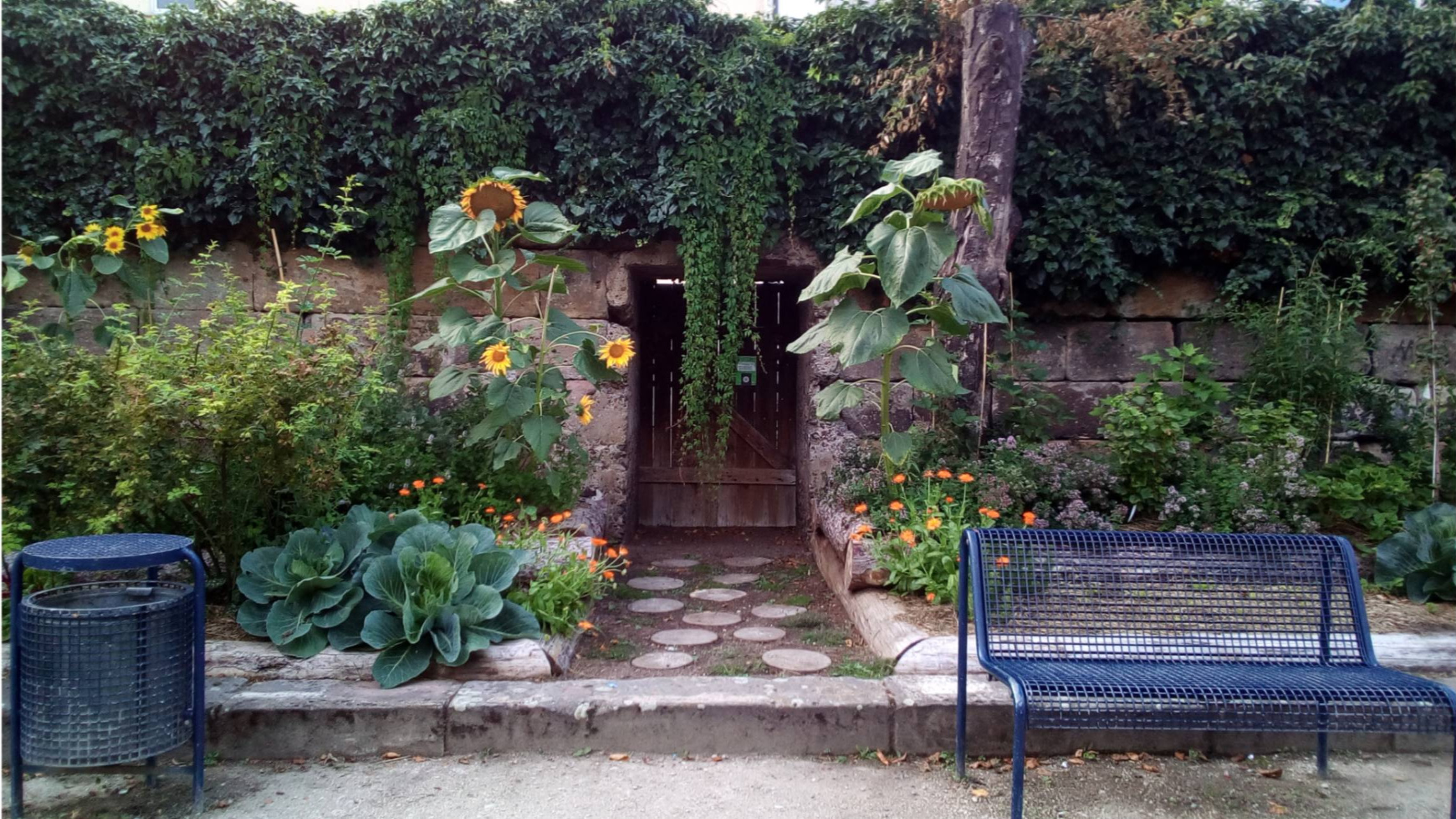 Erlangens Essbare Stadt: Stufenbeete für Humus & Grün