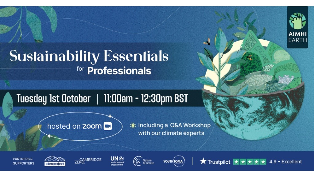 Sustainability Essentials For Professionals Climate Connect